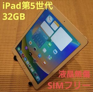 DMPVF 完動品SIMフリー液晶無傷iPad第5世代(A1823)本体32GB