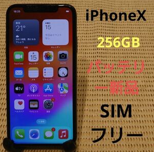 72348 SIMフリー完動品iPhoneX本体256GBグレイ判定○