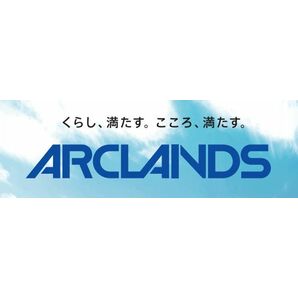 アークランズ　ムサシ　ビバホーム　かつや　からやま　11000