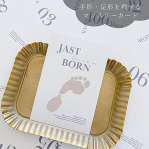 手形・足形マンスリーカード14枚セット