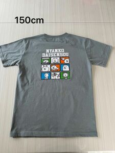 未使用　にゃんこ大戦争　Tシャツ　男の子　半袖Tシャツ　150㎝