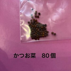 かつお菜の種　80個