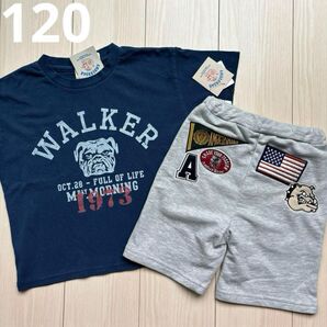 【アンバーロア】ブルドック Tシャツ☆ワッペン ハーフパンツ ズボン 120 犬 アニマル 動物