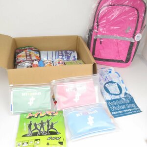 [ new goods unused ] disaster prevention speciality shop MT-NET disaster prevention set disaster prevention goods evacuation training for women 1 person for / 100 (RUHT013580)