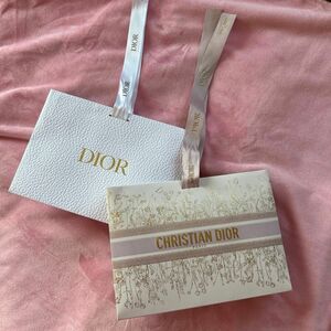 Dior クラッチタイプ　ギフトバッグ　2枚
