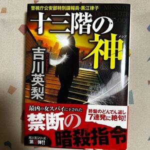 十三階の神 警視庁公安部特別諜報員・黒江律子