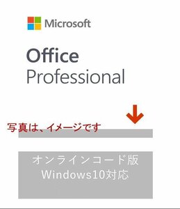  telephone support * new goods * Microsoft Office 2019 Professional Plus for Windows( user distinctive account . cord attaching relation OK )