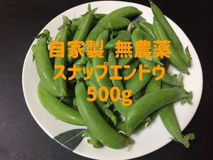 自家製無農薬スナップエンドウ500グラム　ネコポス配送　1