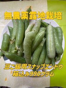 無農薬栽培 豆ご飯用スナップエンドウ(箱込み990g)ネコポス発送