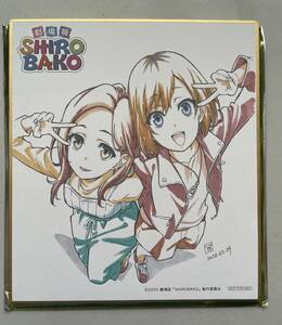 劇場版SIROBAKO 入場者特典　ミニ色紙　関口可奈味描き下ろし　宮森あおい　宮井楓　劇場版の入場者特典のミニ色紙