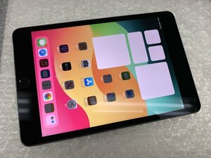 JM870 SIMフリー iPad mini 第5世代 Wi-Fi+Cellular A2124 スペースグレイ 64GB ジャンク ロックOFF