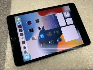 JN770 iPad mini 第4世代 Wi-Fiモデル A1538 スペースグレイ 128GB ジャンク ロックOFF