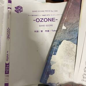 OZONE by vistlip 2013年バンドピース新品古本汚れ未使用値引品 ON17040L580