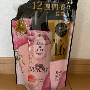 レノアオードリュクス　マインドフルネスシリーズ　SUNDAY 特大サイズ　855ml 詰め替え用　香りづけ専用ビーズ