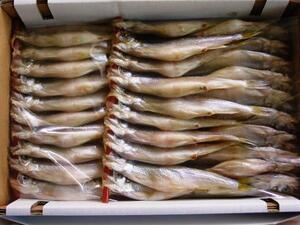  Hokkaido производство сырой высушенный книга@. держать ....( женский )(20 хвост передний и задний (до и после) ) (K) север . прямые продажи * морская малоротая корюшка 