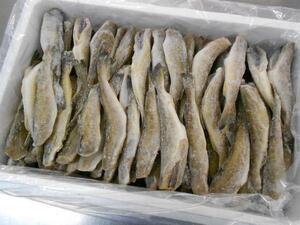  business use large amount * Hokkaido production raw dried whirligig .5kg(E) north . direct sale * ice under fish *