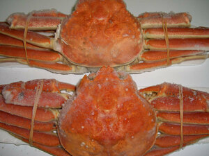 ( sea. ..) Boyle snow crab (.)1 tail (600g rom and rear (before and after) )(E) north . direct sale * crab *.* crab *