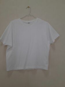 ユニクロ　白Tシャツ 無地