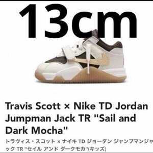 Travis Scott Nike TD Jordan Jumpman