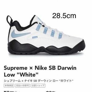 Supreme × Nike SB Darwin Low White シュプ