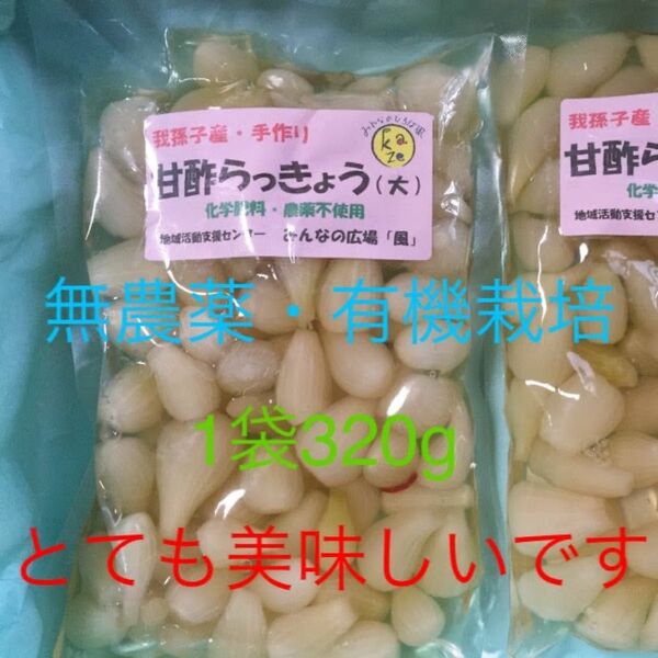 【無農薬・有機栽培】千葉県我孫子市産らっきょう甘酢漬け2袋