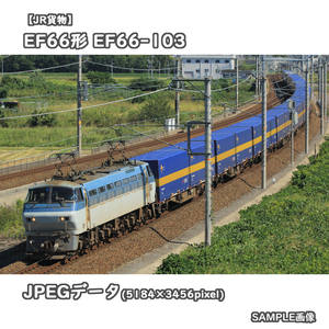 ★デジタル画像【JR貨物】EF66形電気機関車100番台 EF66-103 ■西濃運輸カンガルーライナー □撮影:東海道本線 2019/10/9［№0738］