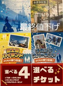 最終値下げ　1点限り早い物勝ち　選べる4　日帰り温泉、富士急、ディズニー、ナガスパ　チケット引き換え