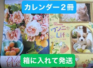 花　フラワーズ　ワンニャン　動物　2024カレンダー　令和6年　カレンダー 壁掛けカレンダー　フラワー　Flower