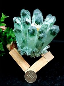 AAA class natural garden quartz entering crystal cluster 179P6-91P19W