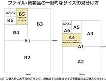 テージー コインアルバム(無地) スペア台紙 C-31S_画像5