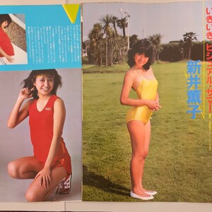 新井薫子　雑誌切り抜き　当時物　80年代アイドル