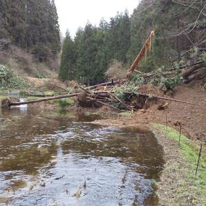 【復興米】５年産 コシヒカリ 白米１０㎏⑥ 石川県輪島産 農家直送 遠赤外線乾燥 無農薬栽培 世界農業遺産 紙袋で発送の画像1