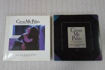 中森明菜　Cross　My　Palm　写真集　クロス　マイ　パーム　※説明をみて入札をお願いいたします。_画像7