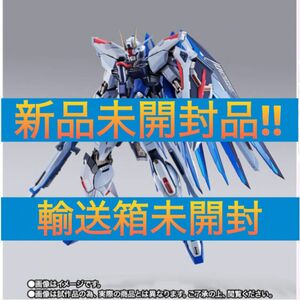 METAL BUILD フリーダムガンダム CONCEPT 2 SNOW SPARKLE Ver.【新品未開封・輸送箱未開封】