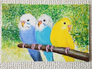 パステル画　インコ　インコの絵　鳥の絵　動物画　可愛い　インテリア　イラスト