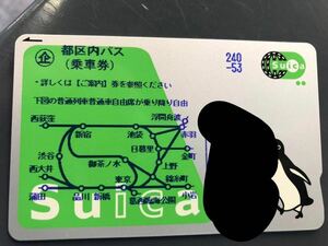SuicaエリアのみならずICカード使用可能な場所ならどこでも使える。Apple Payに移し替え可能 JR東日本のSuicaカード(無記名式スイカ)