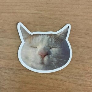 【即日発送】猫ミーム ステッカー 1枚 シール 寝る