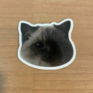 【即日発送】猫ミーム ステッカー 1枚 シール 黒
