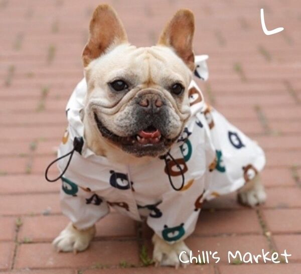 レインコート くま Lマウンテンパーカー 犬の服 犬服 犬 服 ペット 韓国