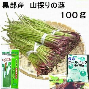 [Перевозки! ] Meisui no Sato Kurobe Natural Mountain Futaki Fukuki освежающий пакет и Cold Pack 100g