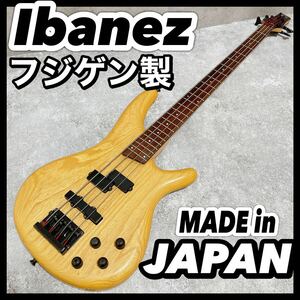 Ibanez アイバニーズ SDGR 木目 フジゲン 日本製 エレキベース ウッド ナチュラル MADE in Japan SR350 SR370