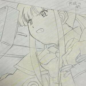 ■【サクラ大戦 Sakura Wars】【真宮寺さくら Sakura Shinguji】原画 動画 セル画　20枚 anime genga douga cel アニメ(K100)