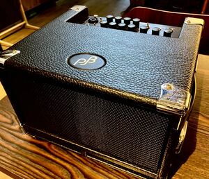 《正規輸入品・新品》 Phil Jones Bass (PJB／フィルジョーンズベース) Bass Cub BG-100R (PJ-BG100R) ベース用コンボアンプ