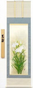 ◎大野道『菖蒲』日本画★花鳥・掛け軸・・端午の節句【新品】