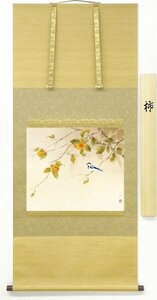 ◎遠田一成『柿』日本画★花鳥・掛け軸・【新品】