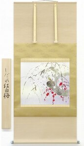 ◎池野扶其『しだれ紅白梅』日本画★花鳥・掛け軸・【新品】