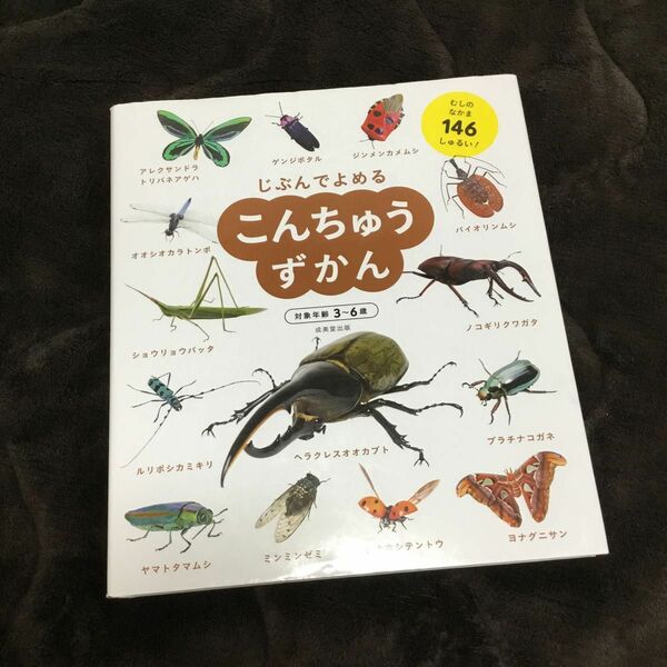 じぶんでよめるこんちゅうずかん　対象年齢３～６歳　むしのなかま１４６しゅるい！ 成美堂出版編集部／編著