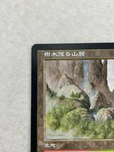 （M１）マニア必見！★MTG 樹木茂る山麓 Wooded Foothills オンスロート ONS 日本語版★マジック:ザ・ギャザリング★傷あり！_画像2