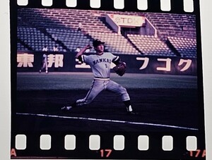 【本物ポジフィルム】桜井輝秀選手(南海ホークス)