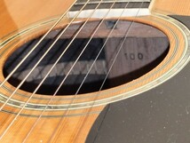 Morris W-100　ジャパンヴィンテージ ハカランダ アコースティックギター　入手困難　送料無料　モーリス　ギター Morris_画像7